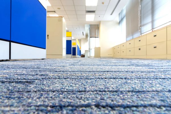 Business Carpet Cleaning in Nicholasville
