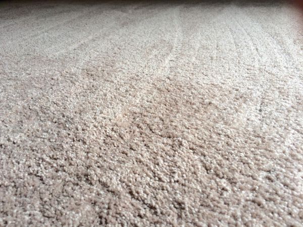 Plush Carpet Installation in Nicholasville