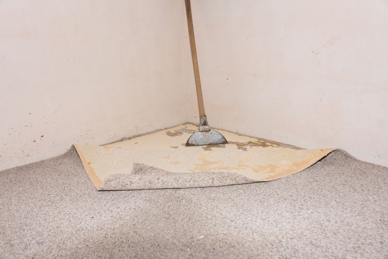 Basement Carpet Repair